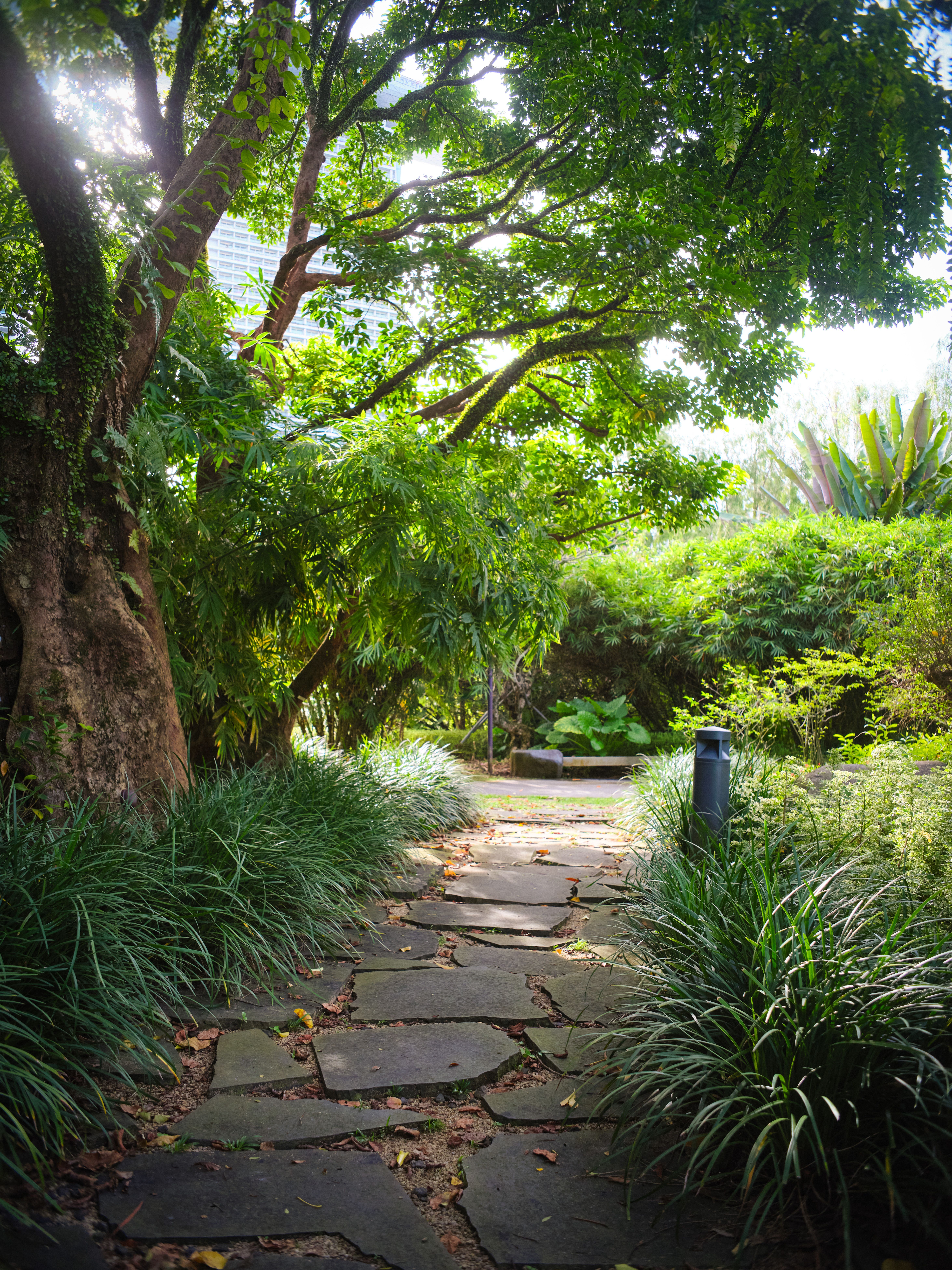 Tranquil Garden Pathway in Lush Greenery · Free Stock Photo
