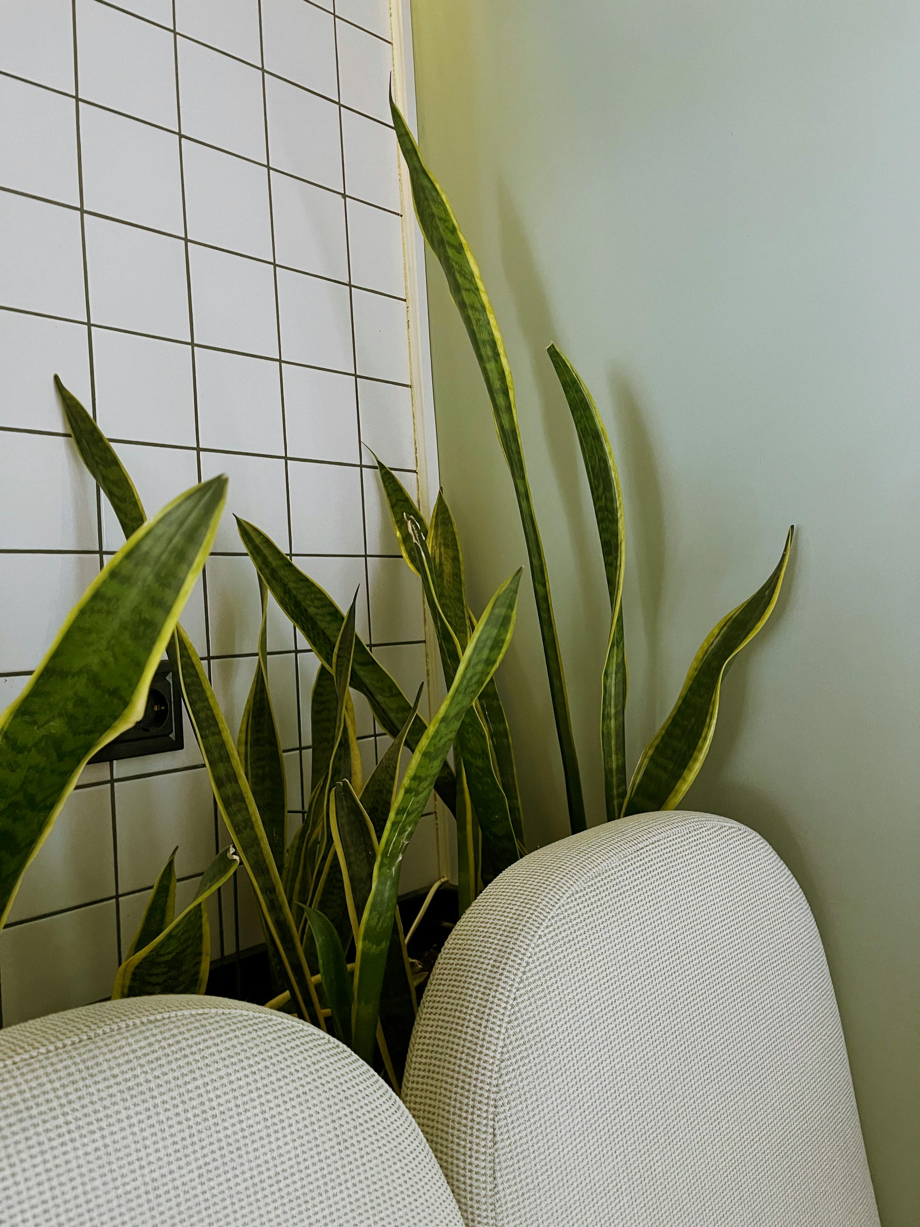 Logo Less Design Photos, Download The BEST Free Logo Less Design Stock ...