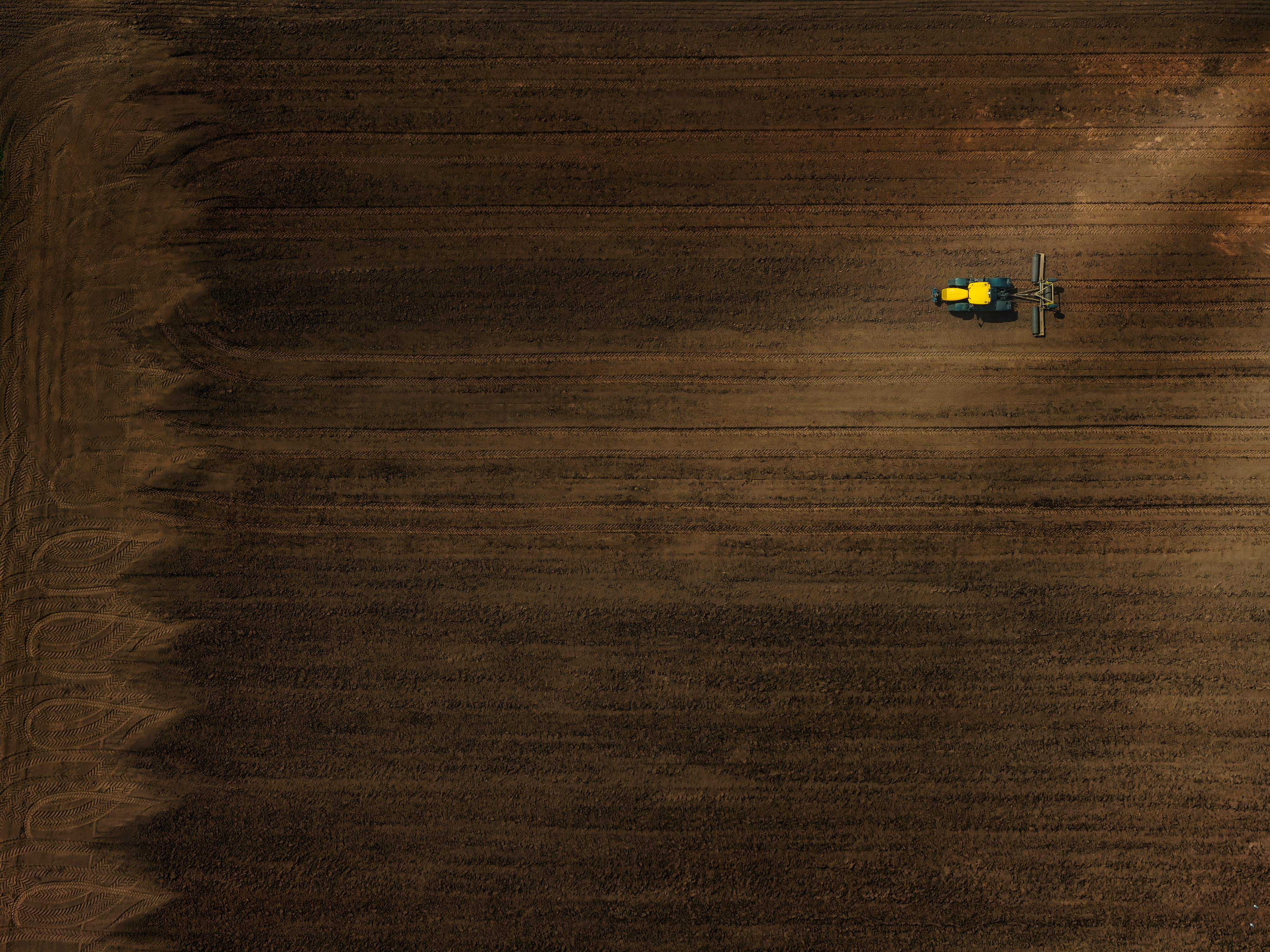 Gratuit Cozi înalte Fotografie de stoc