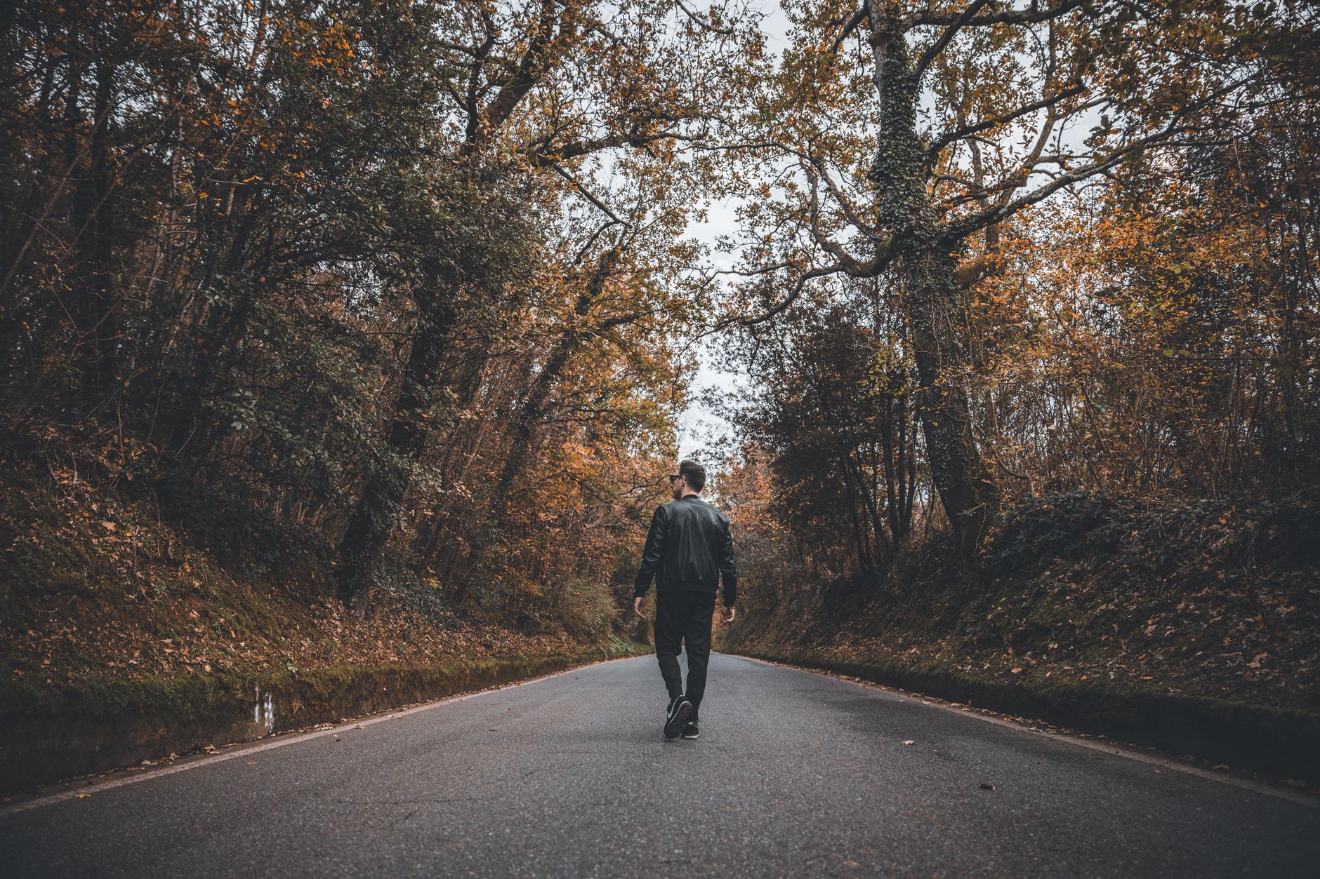 When to Walk Away: Execution Lessons for SaaS LLCs