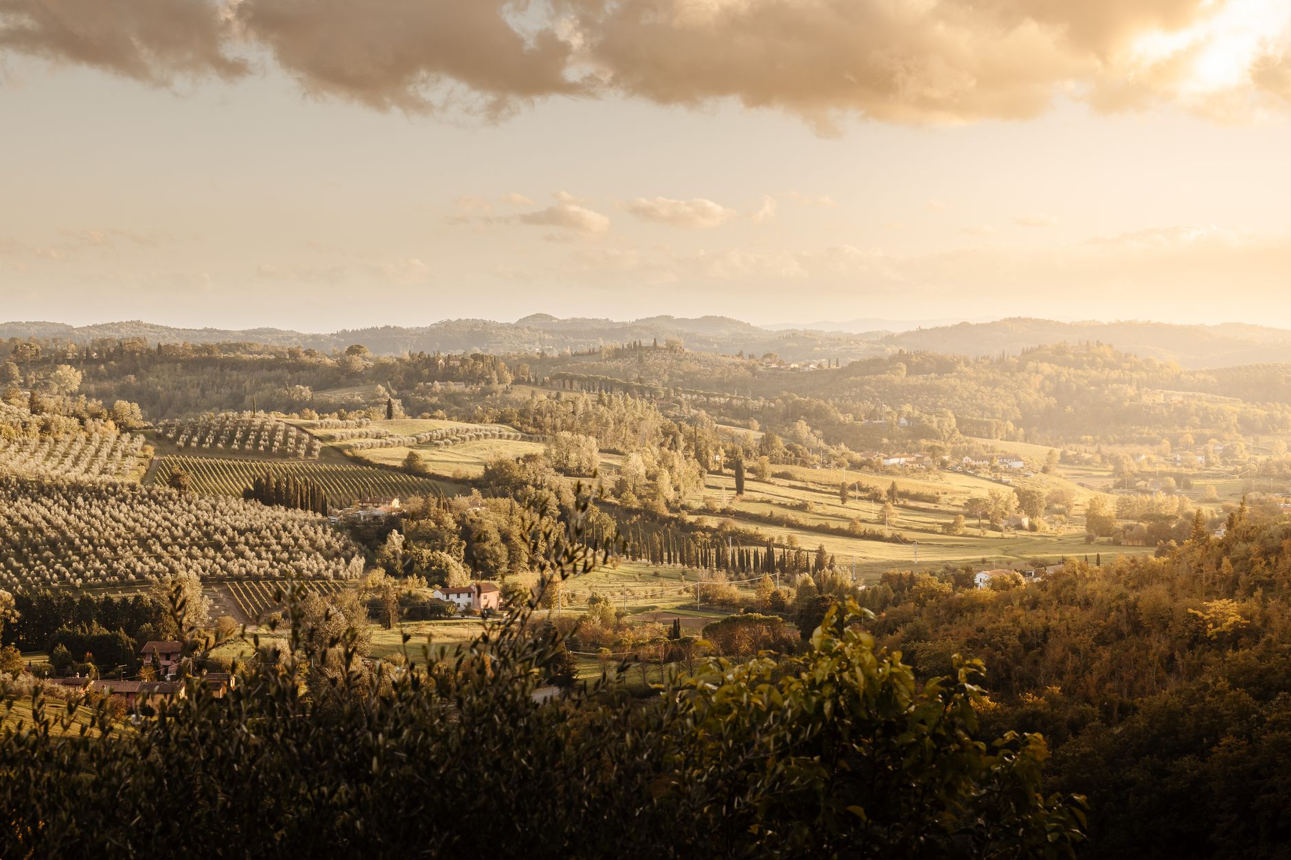 Tuscany Deep Dive: Chianti, Brunello, and Super Tuscans Explained