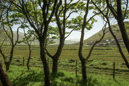 A serene countryside scene with trees framing a distant rural village and rolling hills under a clear blue sky.