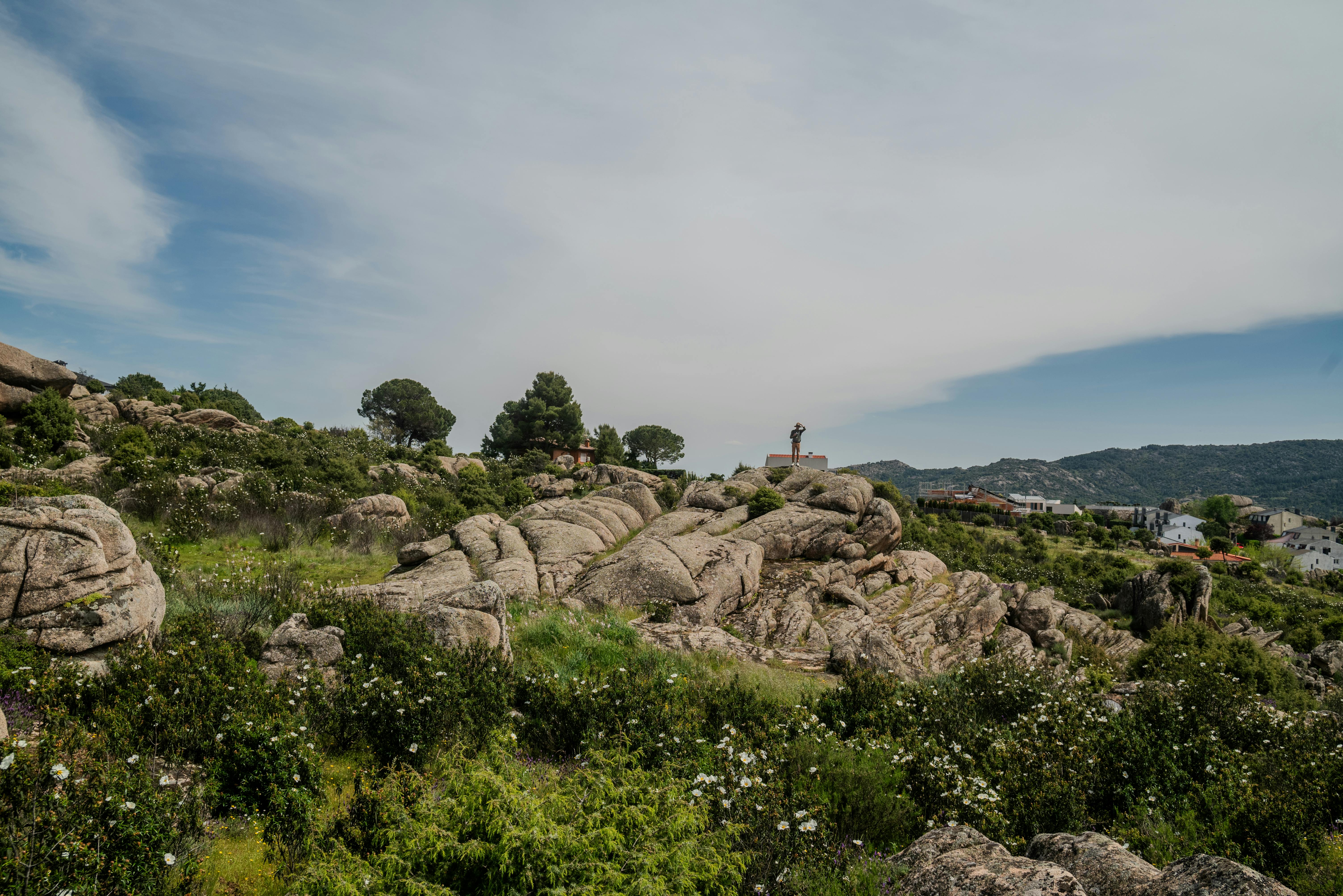 ¿Qué Posiciones de Fenerbahçe Beko Fueron Decisivas en el Duelo Contra Real Madrid?