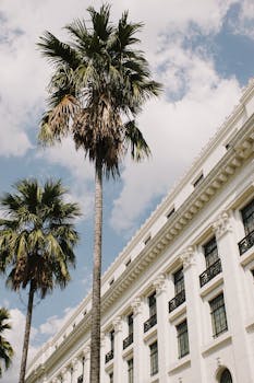 Elegant neoclassical building framed by palm trees under sunny sky, embodying timeless architecture.
