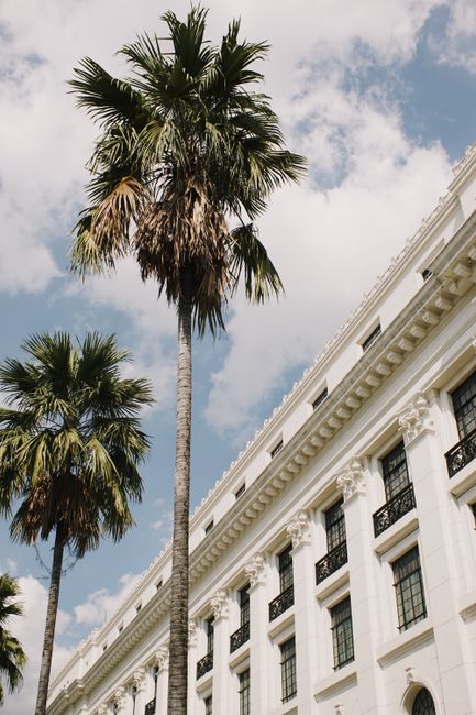 Elegant neoclassical building framed by palm trees under sunny sky, embodying timeless architecture.