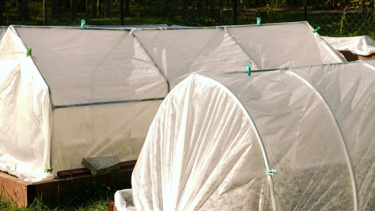 Comment créer un potager dhiver à Angers : légumes et astuces