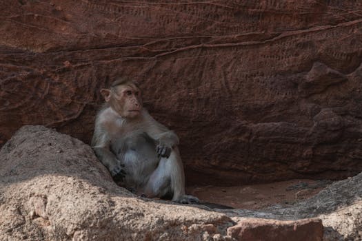 Badami Caves are a unique architectural complex in the state of Karnataka, India., Photographer: Roman Saienko