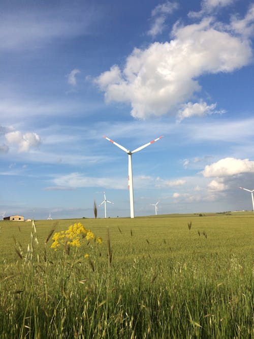 Free stock photo of eolic, italy, renewable