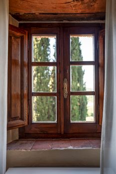 Charming wooden window open to a view of tall cypress trees under daylight.
