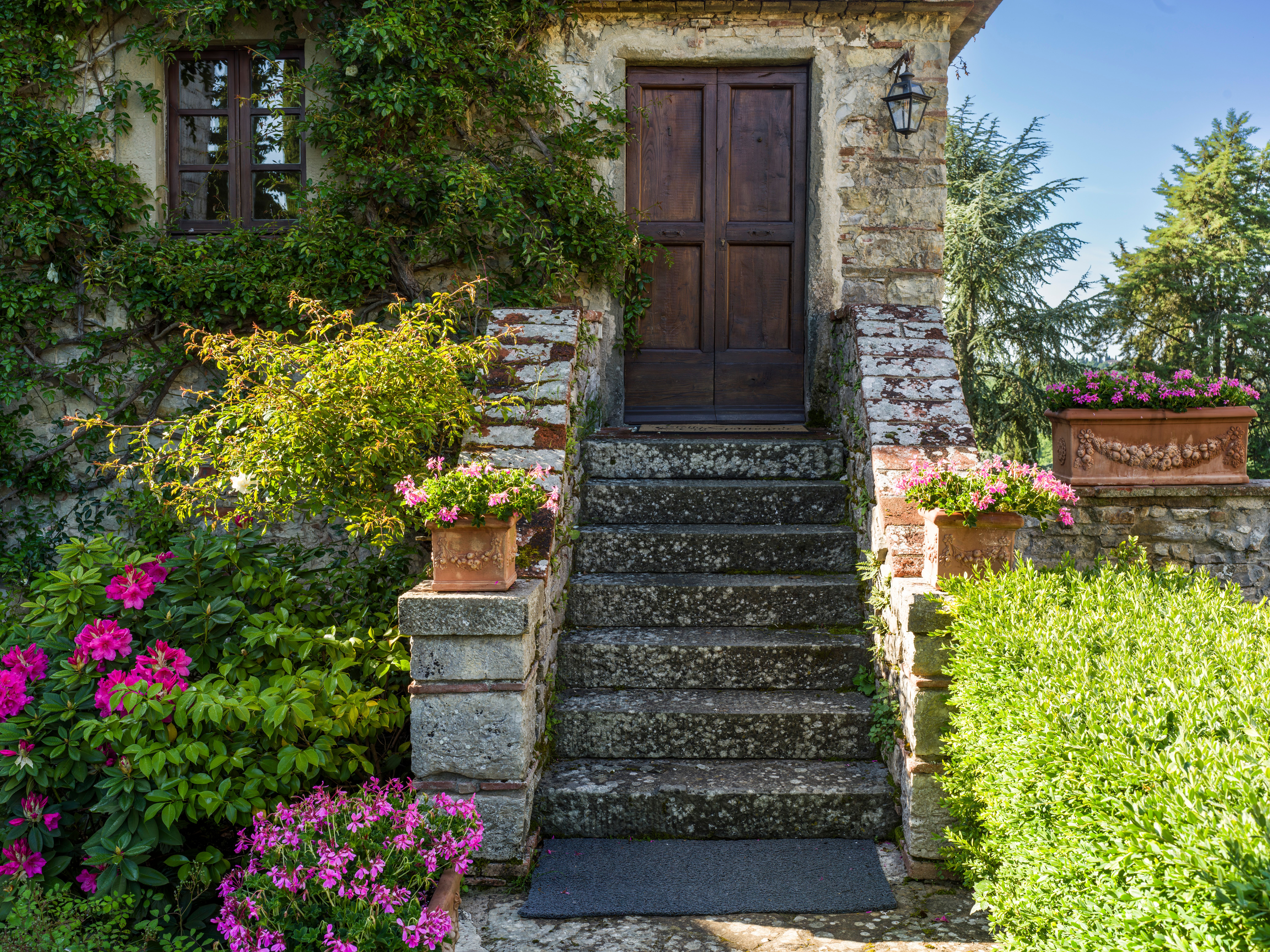 Give your home a spring reset for less than $100 with these DIY home improvement projects — Photo by tommy picone on Pexels