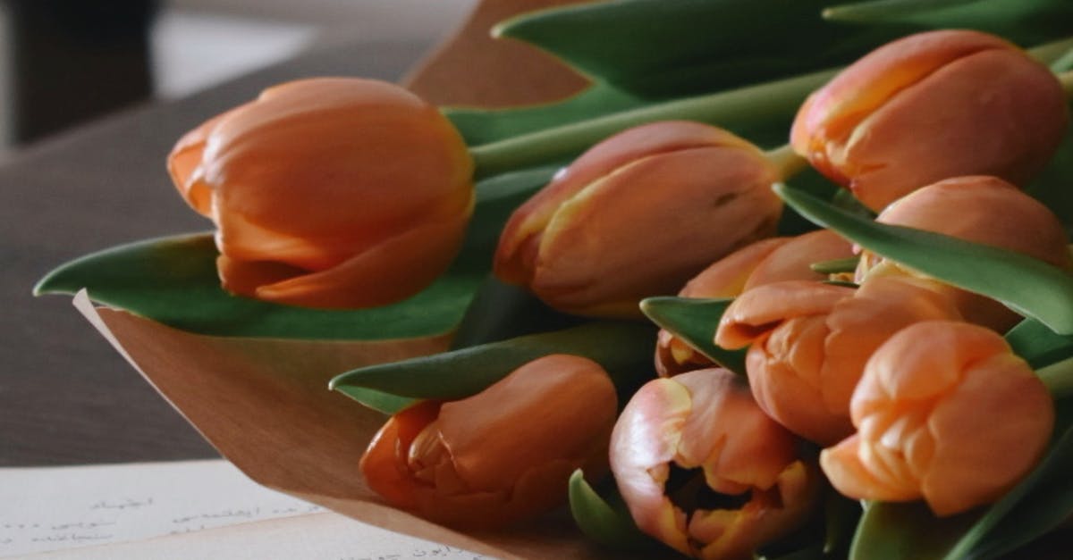 閱讀×生活 台南文學季盛大登場 讓書香充滿城市每個角落