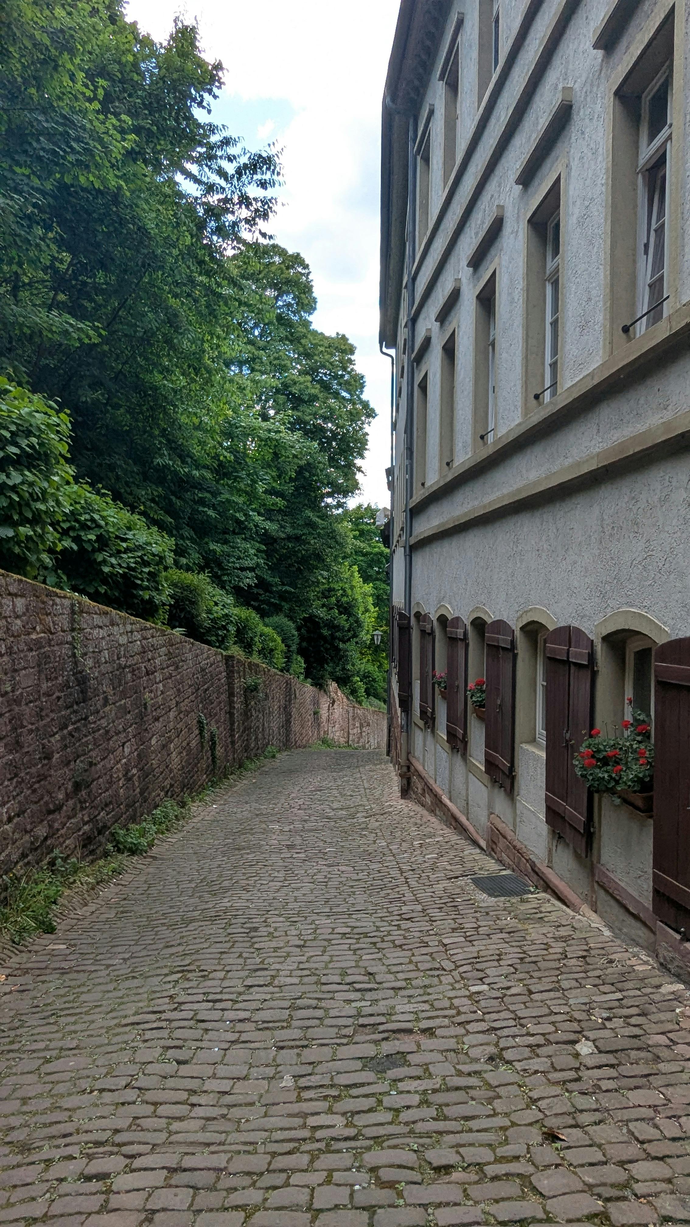 Gratis lagerfoto af heidelberg, heidelberg slot, tysk arkitektur Lagerfoto