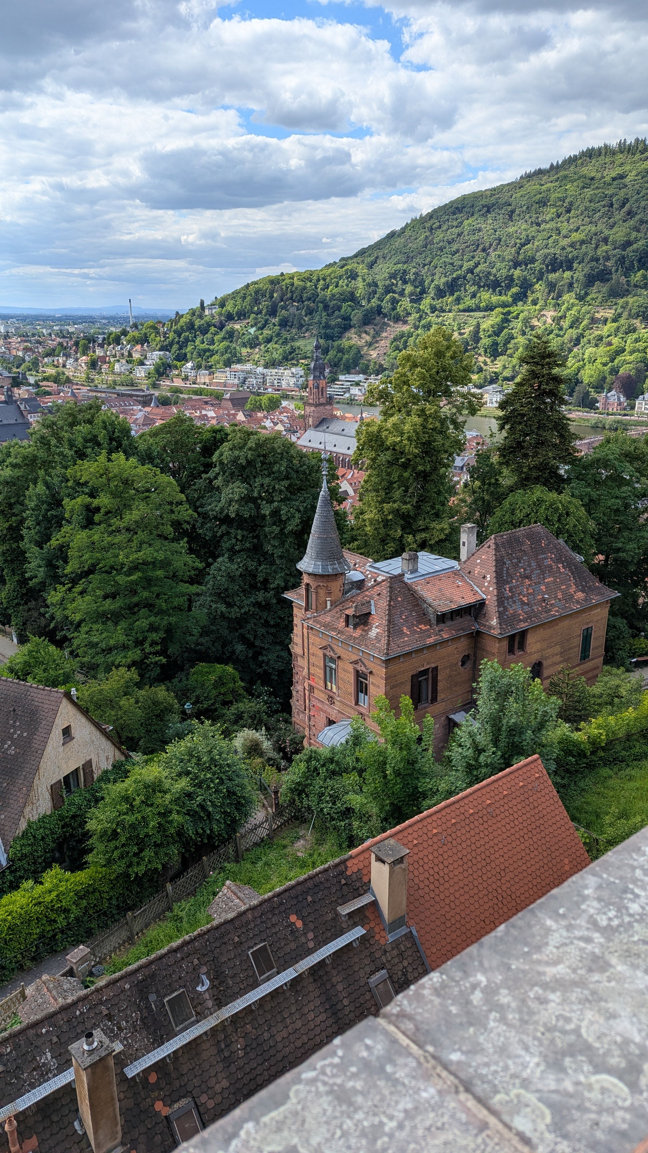 Gratis Immagine gratuita di alberi, architettura, architettura tradizionale Foto a disposizione