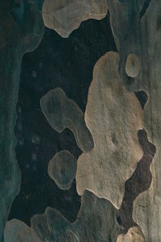 Detailed image of tree bark showcasing natural textures and abstract patterns.