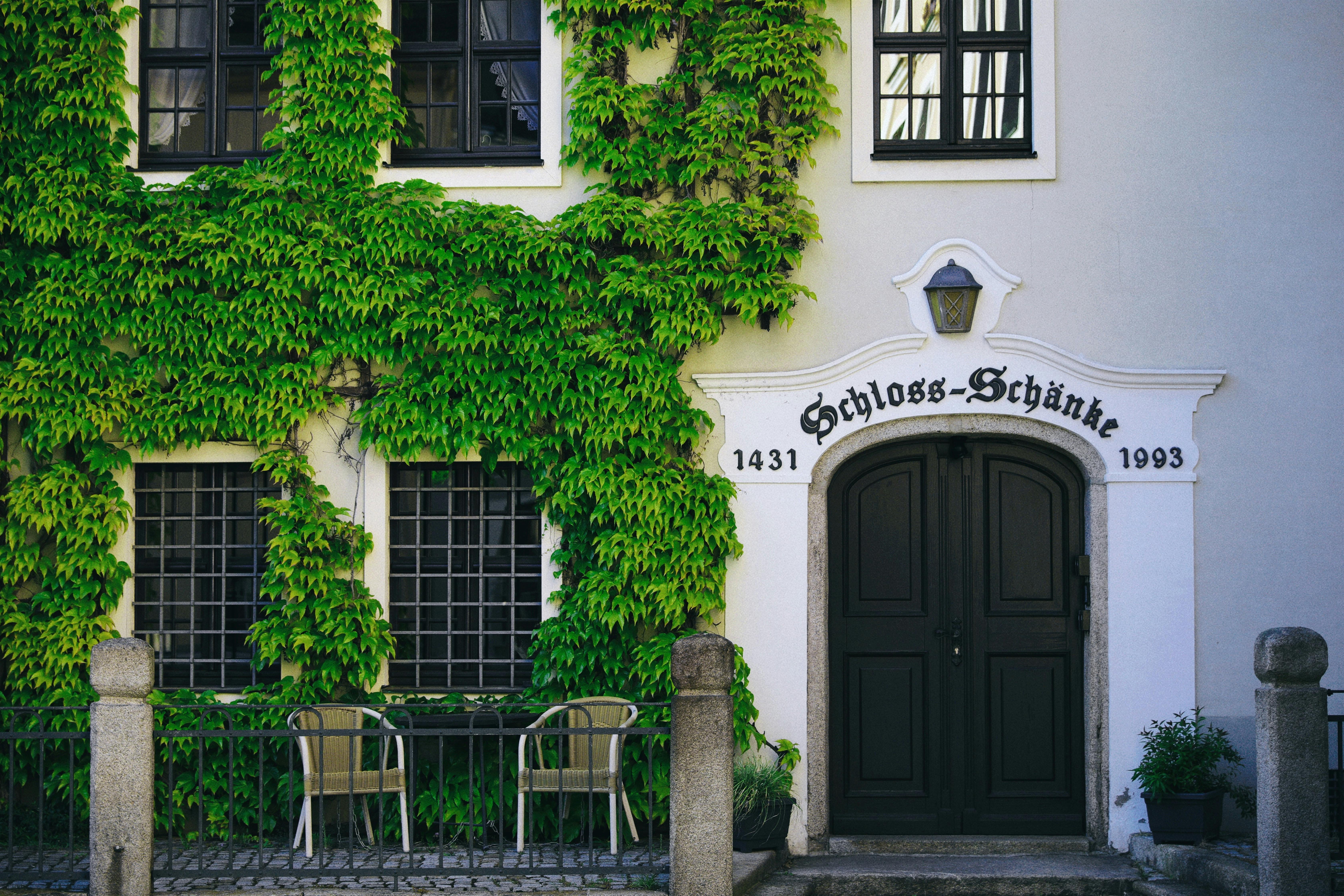 알리익스프레스 야외 활동 필수 아이템 IGT 테이블 추천 관련 이미지