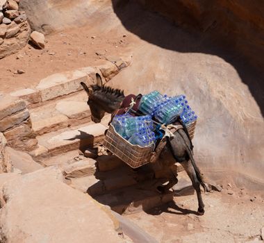 Een ezel vervoert flessenwater over oude stenen trappen in Petra, Jordanië.