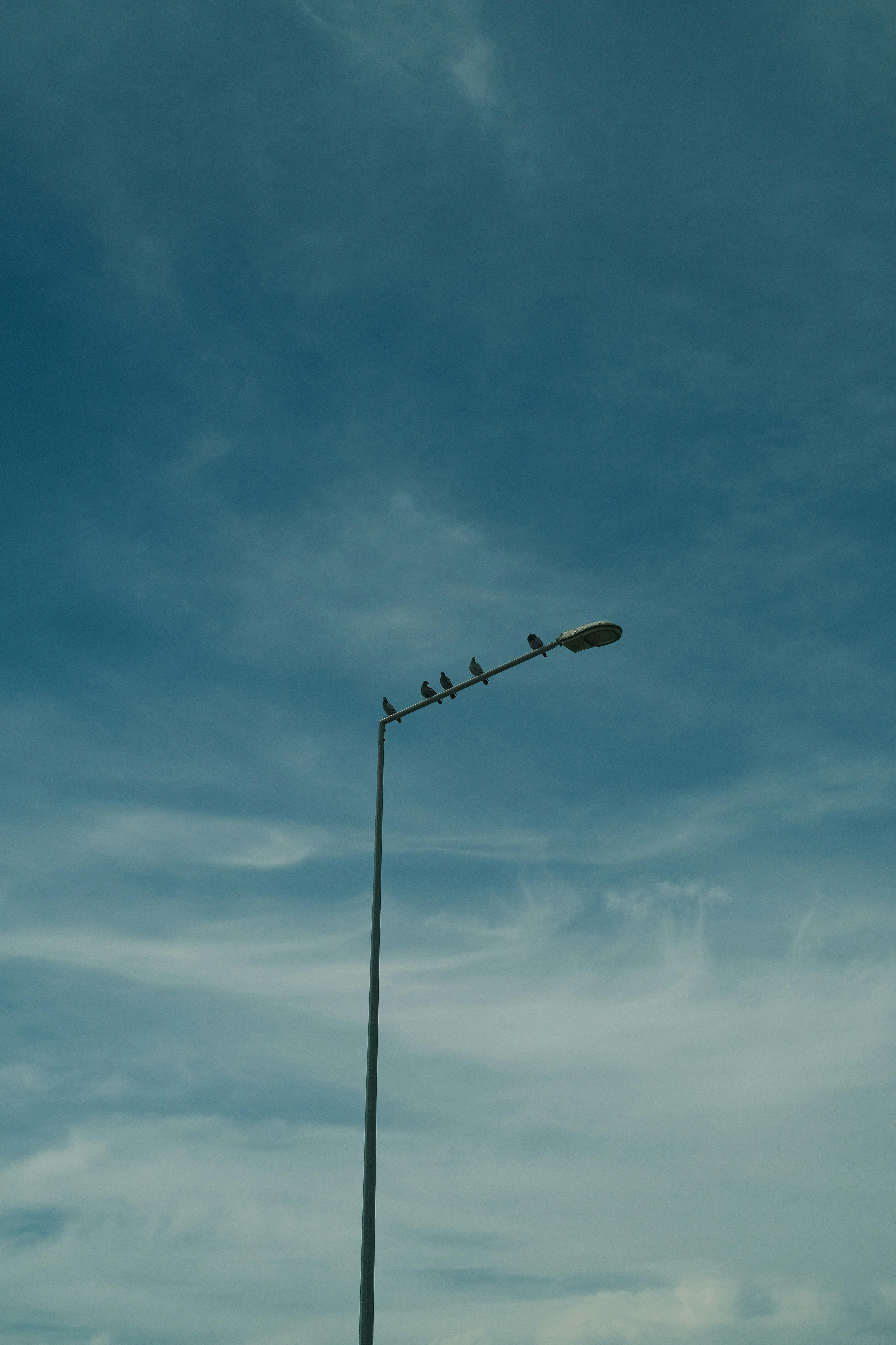 бесплатная Четыре птицы сидят на уличном фонаре на фоне облачного голубого неба. Стоковое фото