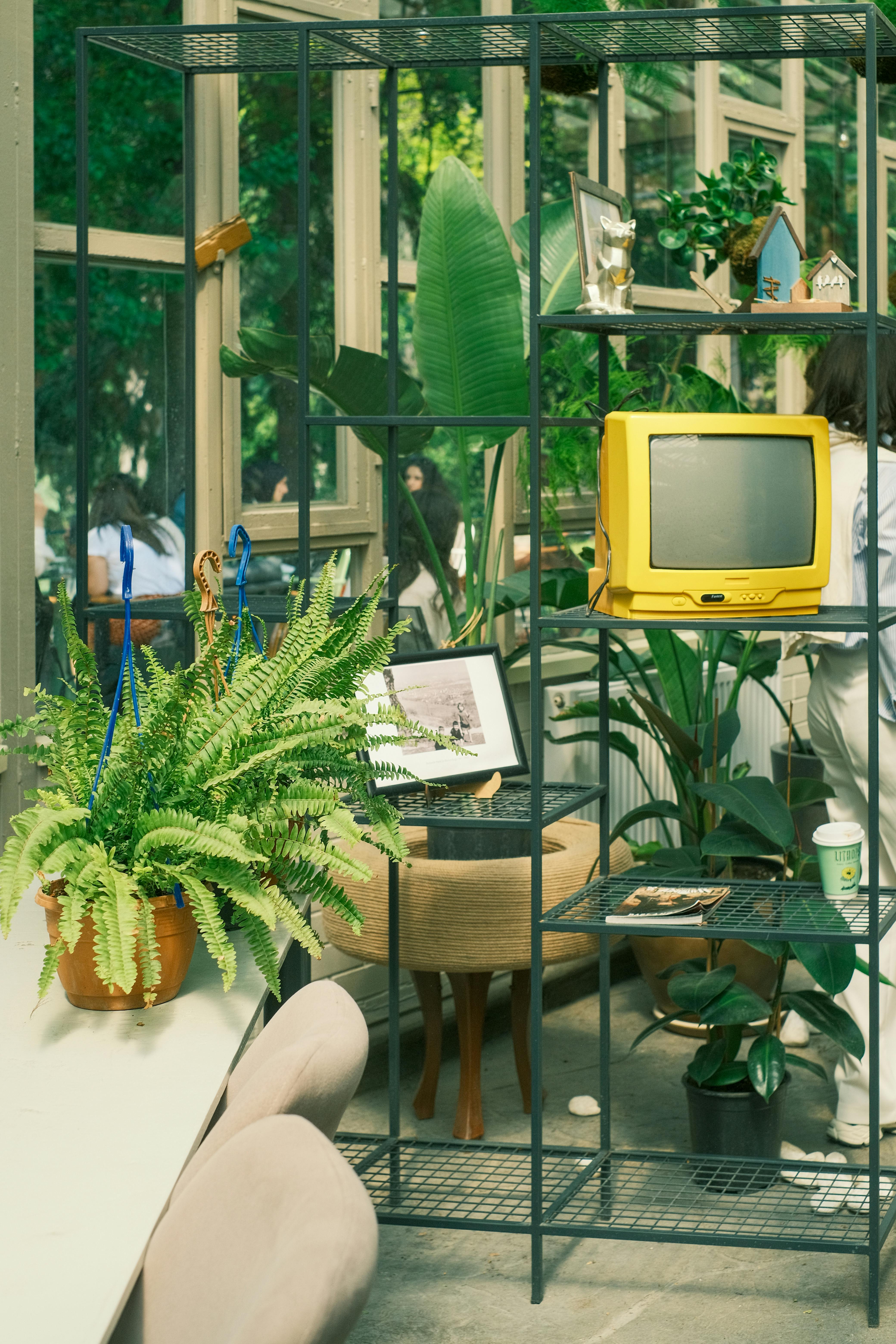 A retro indoor space featuring plants and a vintage yellow TV for a nostalgic vibe.