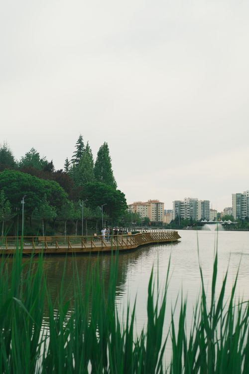 Free Peaceful urban lake with boardwalk, greenery, and city buildings in the background. Stock Photo