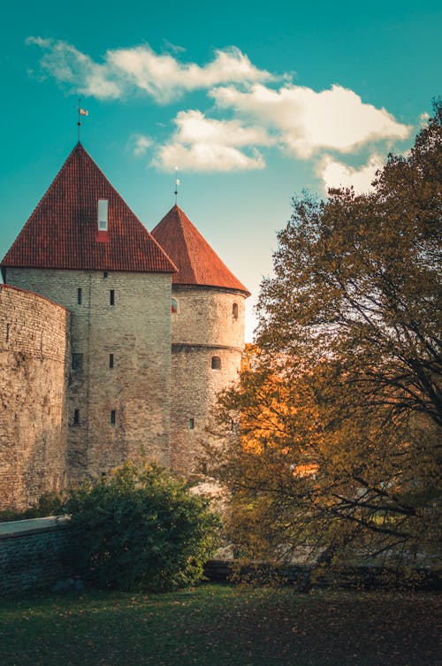 Zdjęcie Castle Exterior