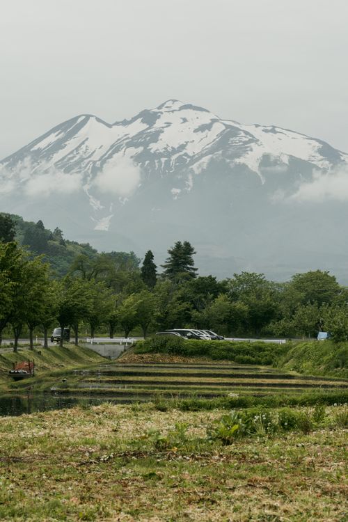 Free Snow-capped mountain overlooks a serene green valley with rice paddies and trees under a cloudy sky. Stock Photo