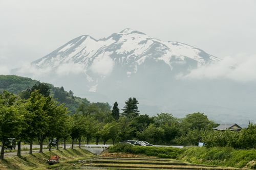 Free A stunning view of a snow-capped mountain with lush greenery in the foreground. Stock Photo