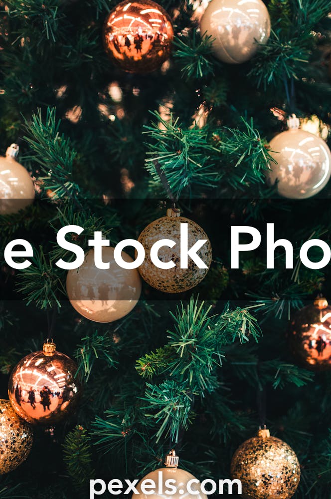 Featured image of post Profile Picture Ideas Christmas : Christmas is the time to be jolly, and there&#039;s nothing jollier than unsplash&#039;s collection of christmas images.