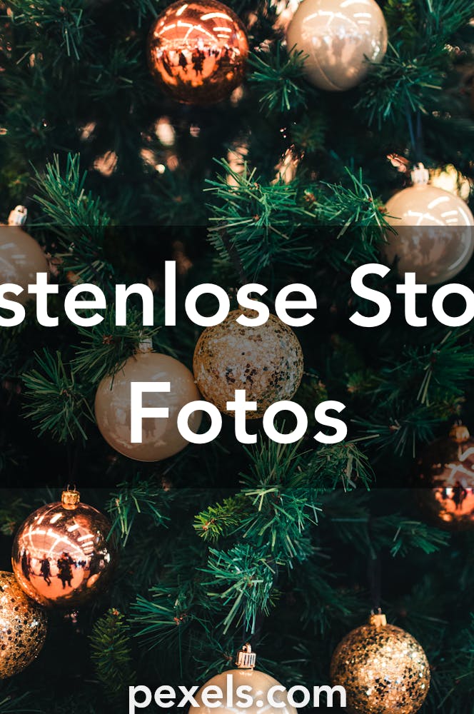 Die Besten Weihnachtsbaum Bilder Aktuell 100 Kostenlos Pexels Stockfotos