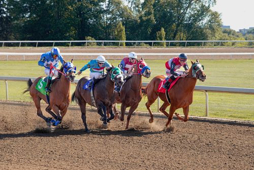 Free Five racehorses compete with jockeys on a sunny day at the racetrack, showcasing thrilling speed. Stock Photo