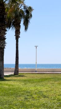 Serene coastal park with palm trees, green grass, and ocean horizon under a clear blue sky.
