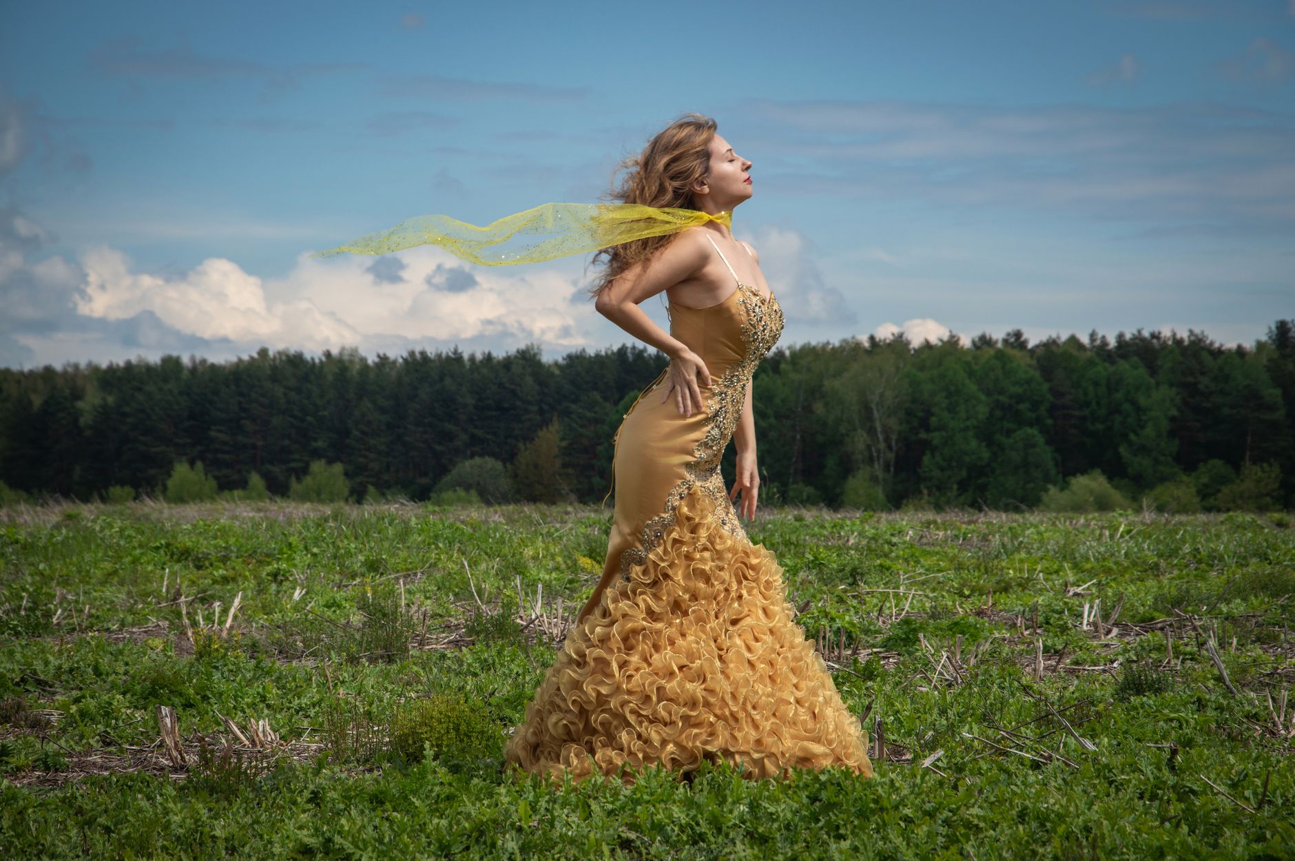 Woman in an elaborate yellow gown poses in a lush field with forest backdrop.