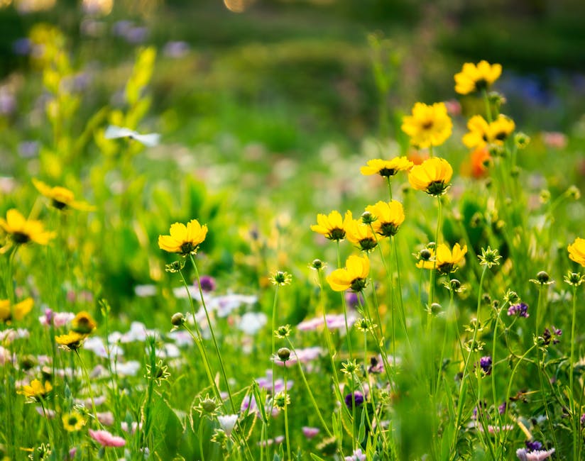 Vibrant garden flourishing with diverse plants and healthy soil