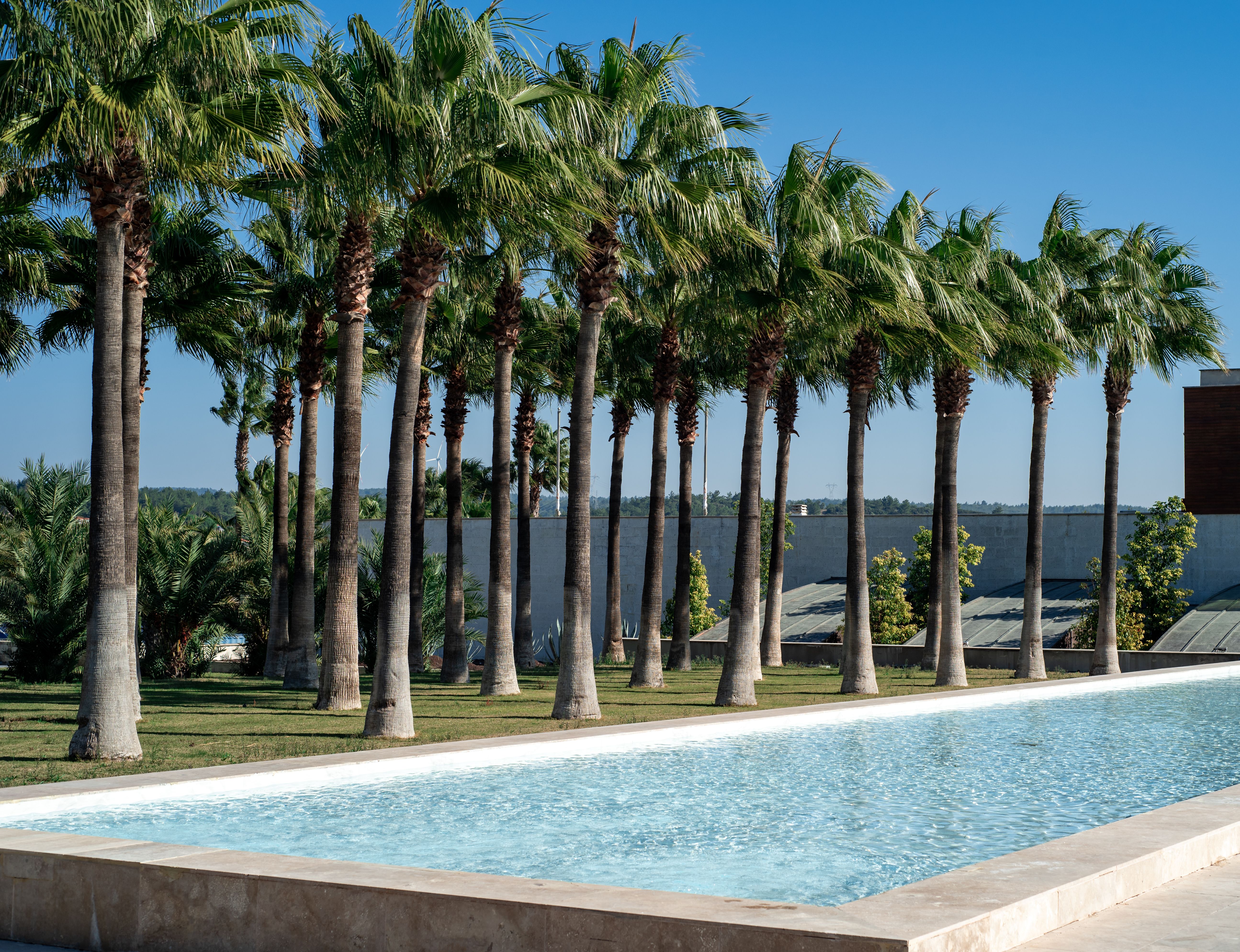 Professional SEO For Pool Companies Phoenix, AZ