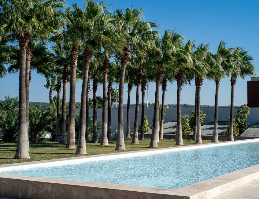 Professional SEO For Pool Companies Phoenix, AZ Professional SEO For Pool Companies Phoenix, AZ