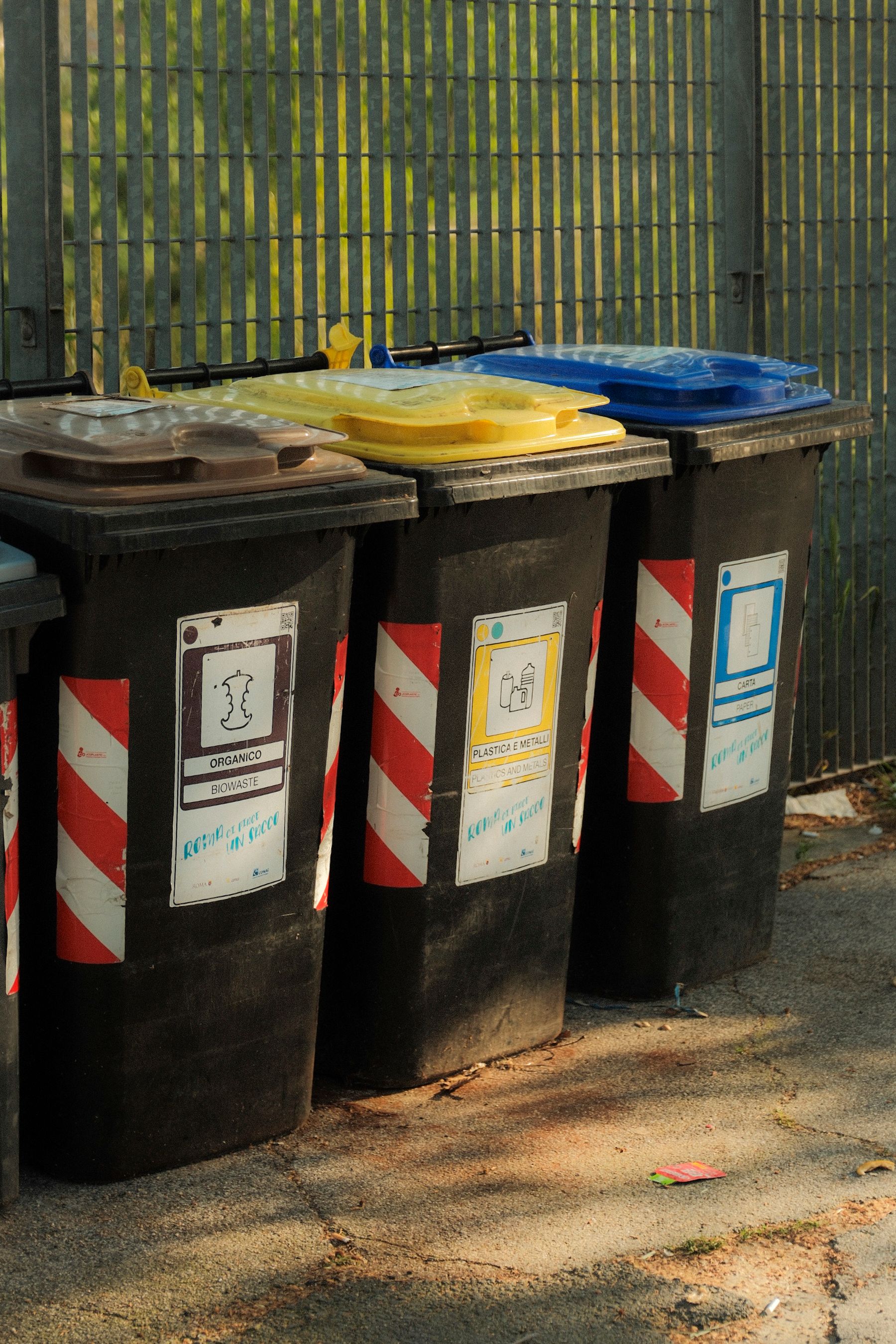 Color-coded recycling bins arranged outdoors in sunlight