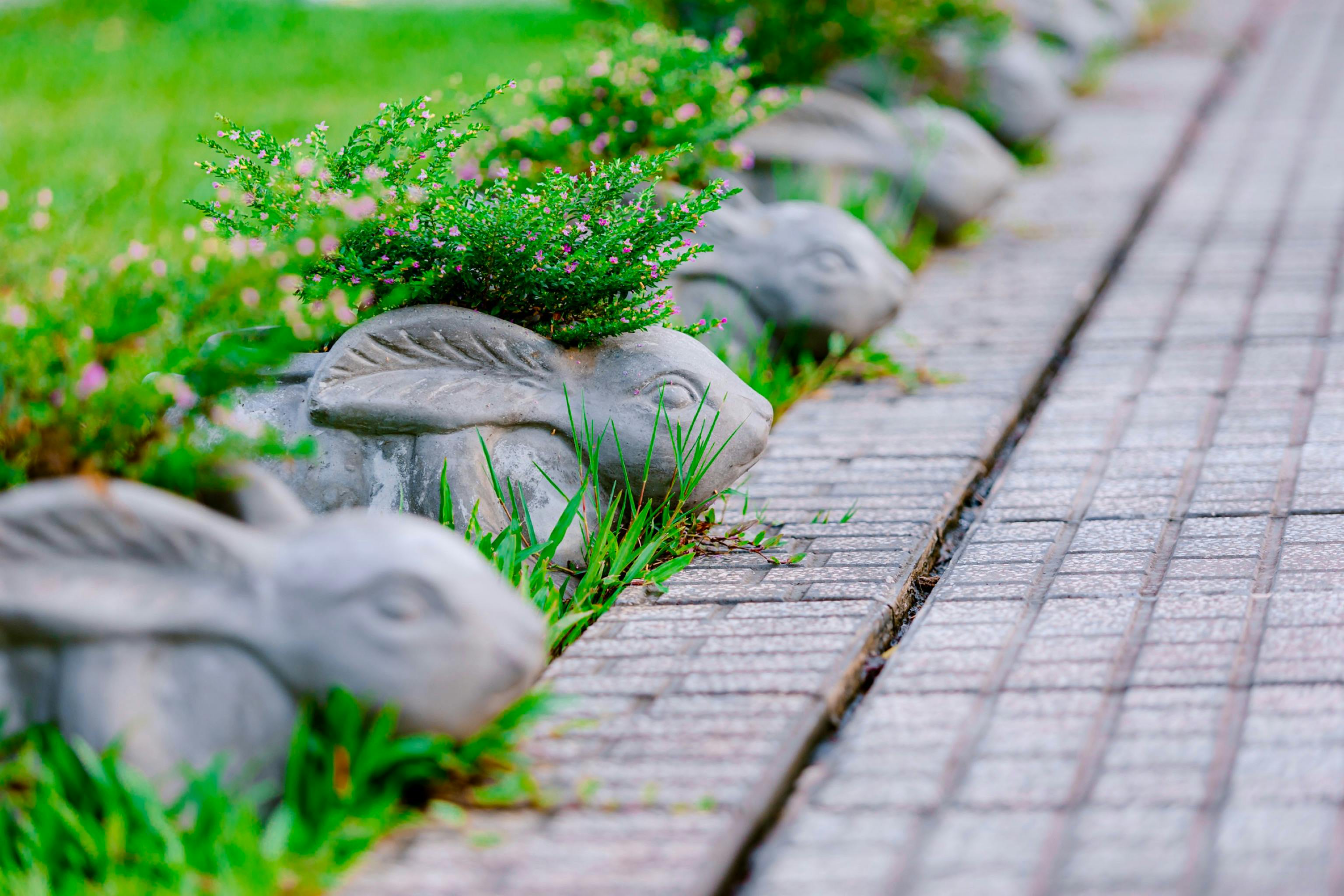 Rabbit Planters Lining a Brick Pathway · Free Stock Photo