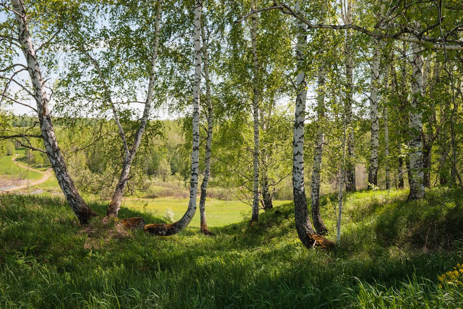 Kesimpulan: Siraman, Lebih dari Sekadar Mandi Biasa Kesimpulan: Siraman, Lebih dari Sekadar Mandi Biasa