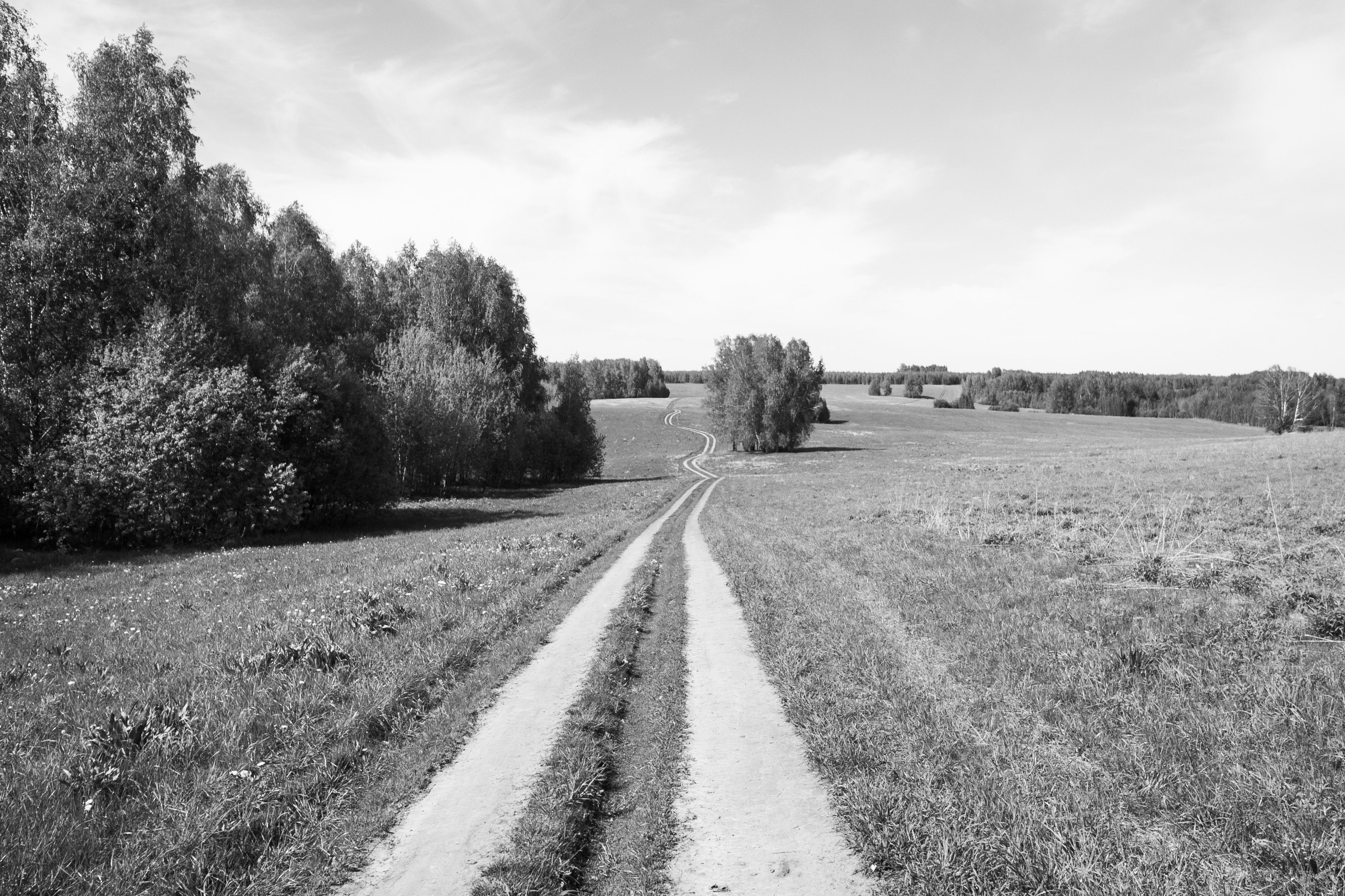 Serene Country Path in Black and White Landscape · Free Stock Photo