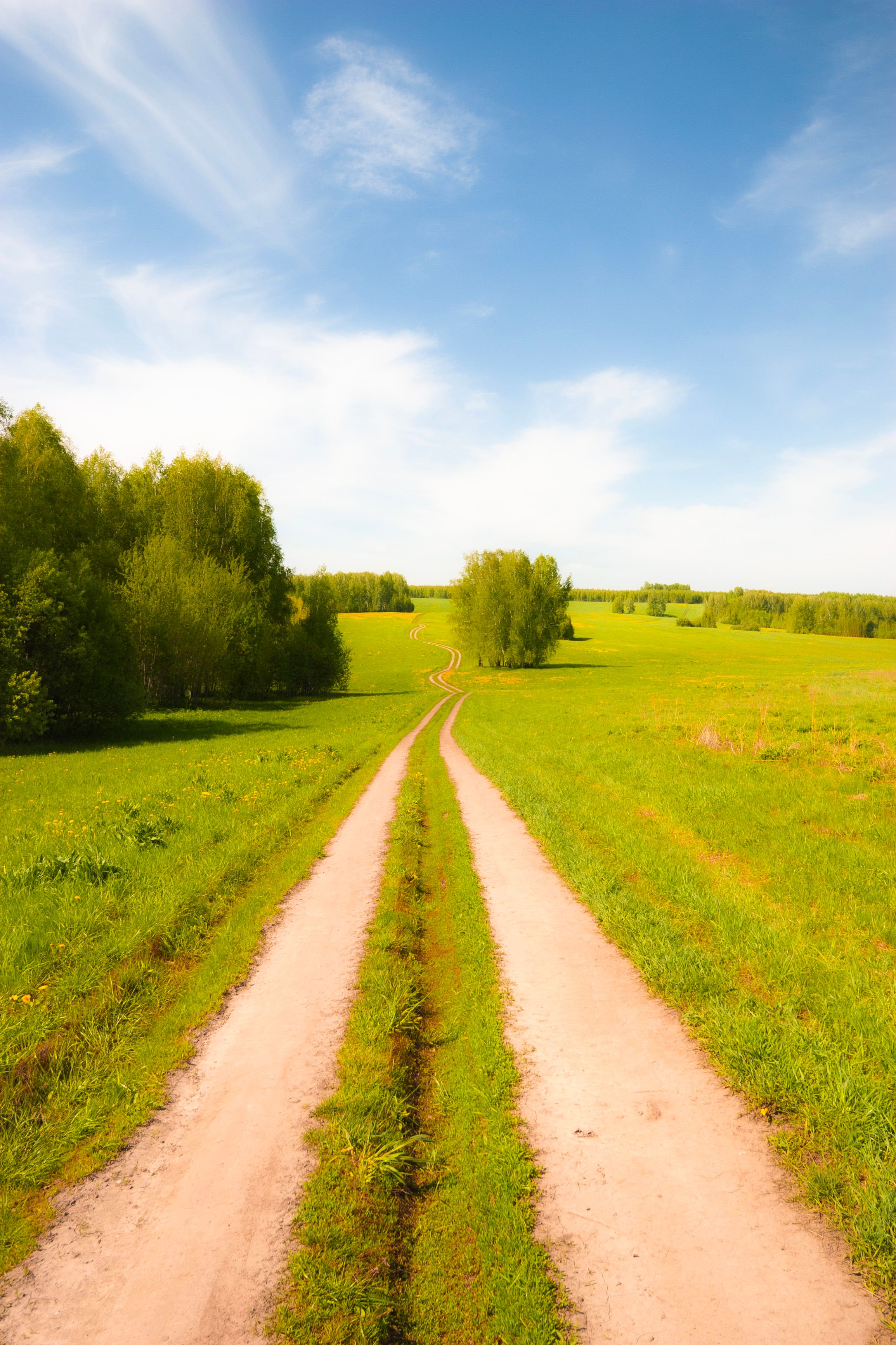 Serene Country Road Through Lush Green Fields · Free Stock Photo
