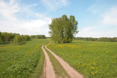 Free A serene rural scene with a dirt path, lush greenery, and a clear blue sky. Stock Photo