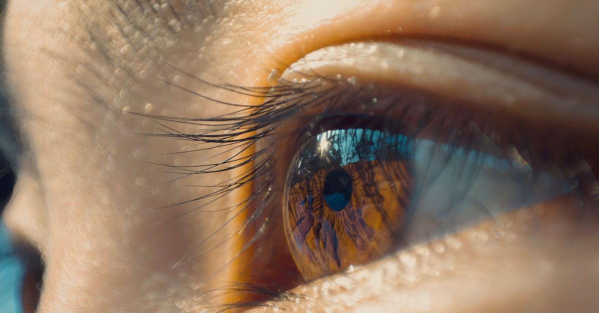 AIIMS Expands Cornea Retrieval Network with Three New Hospitals