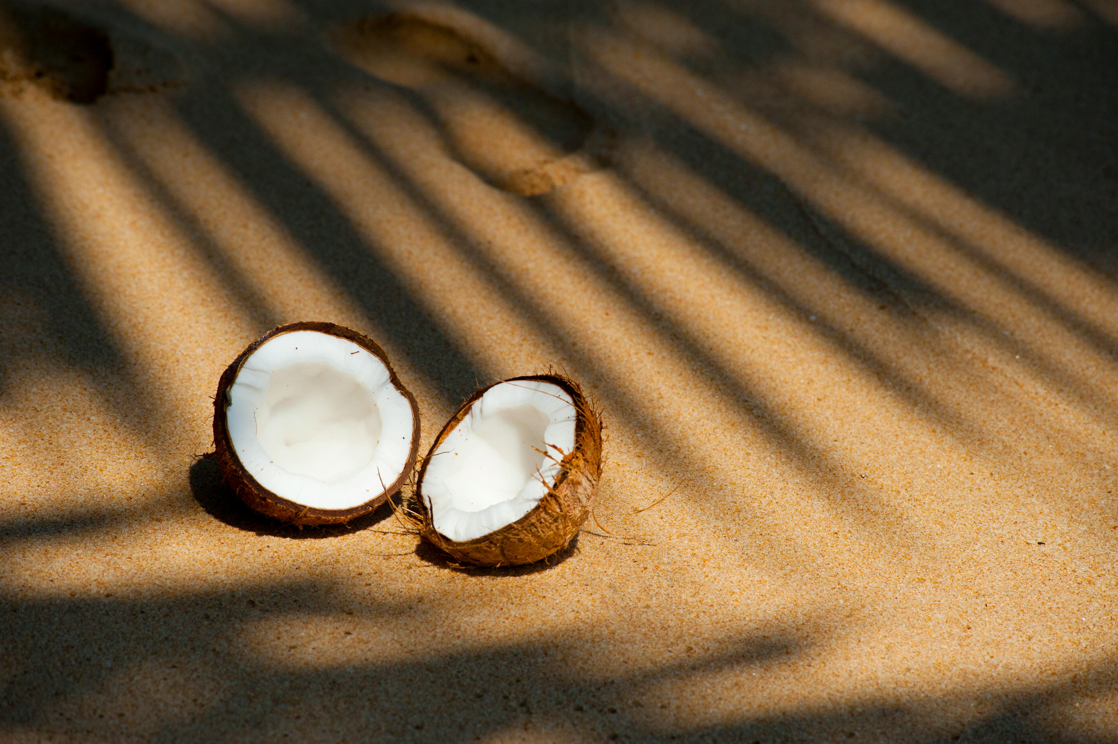 3000 Best Coconut Photos  100 Free Download  Pexels Stock Photos