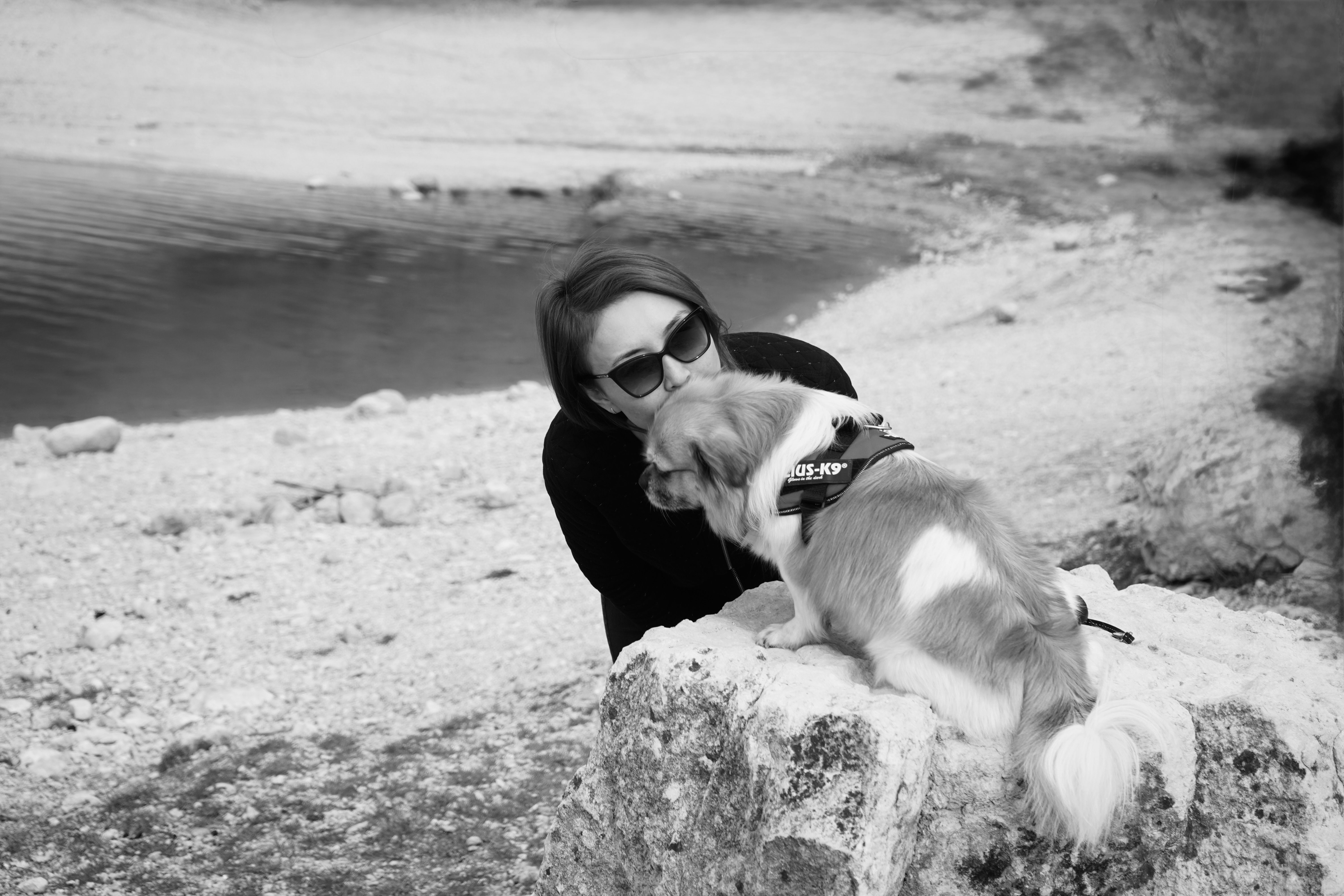pexels-photo-32248936 Quel chien est fait pour moi : le guide pour choisir sans se tromper