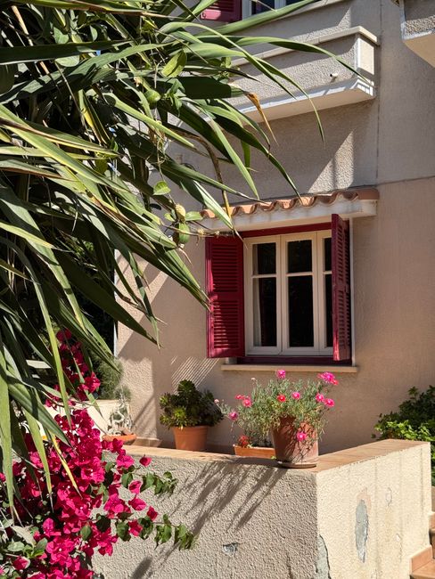 Mediterranean villa facade with vibrant bougainvillea and potted plants in sunlight.