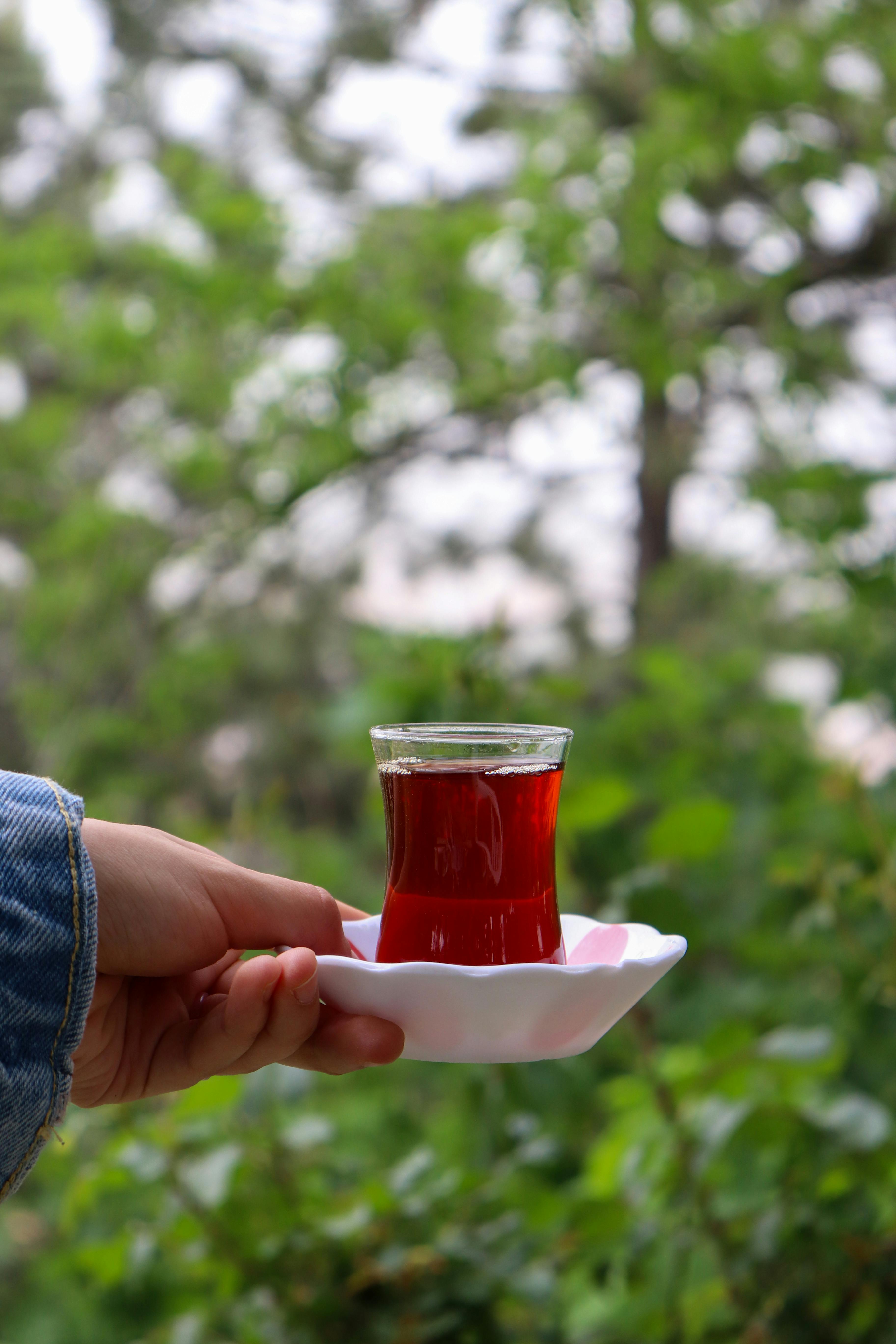 Burun Akıntısına Karşı Etkili Bitkisel Çay Tarifleri
