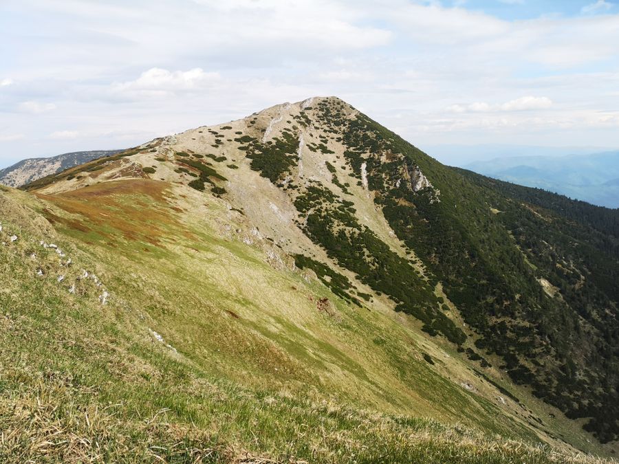 Travnatý vrcholový hřeben s kosodřevinou a výhledem do údolí