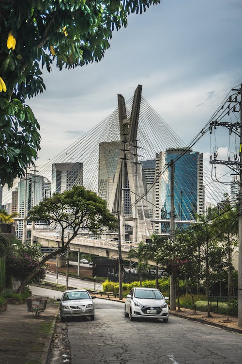 Bezpłatne Most Oleivera, Brazylia Zdjęcie z galerii