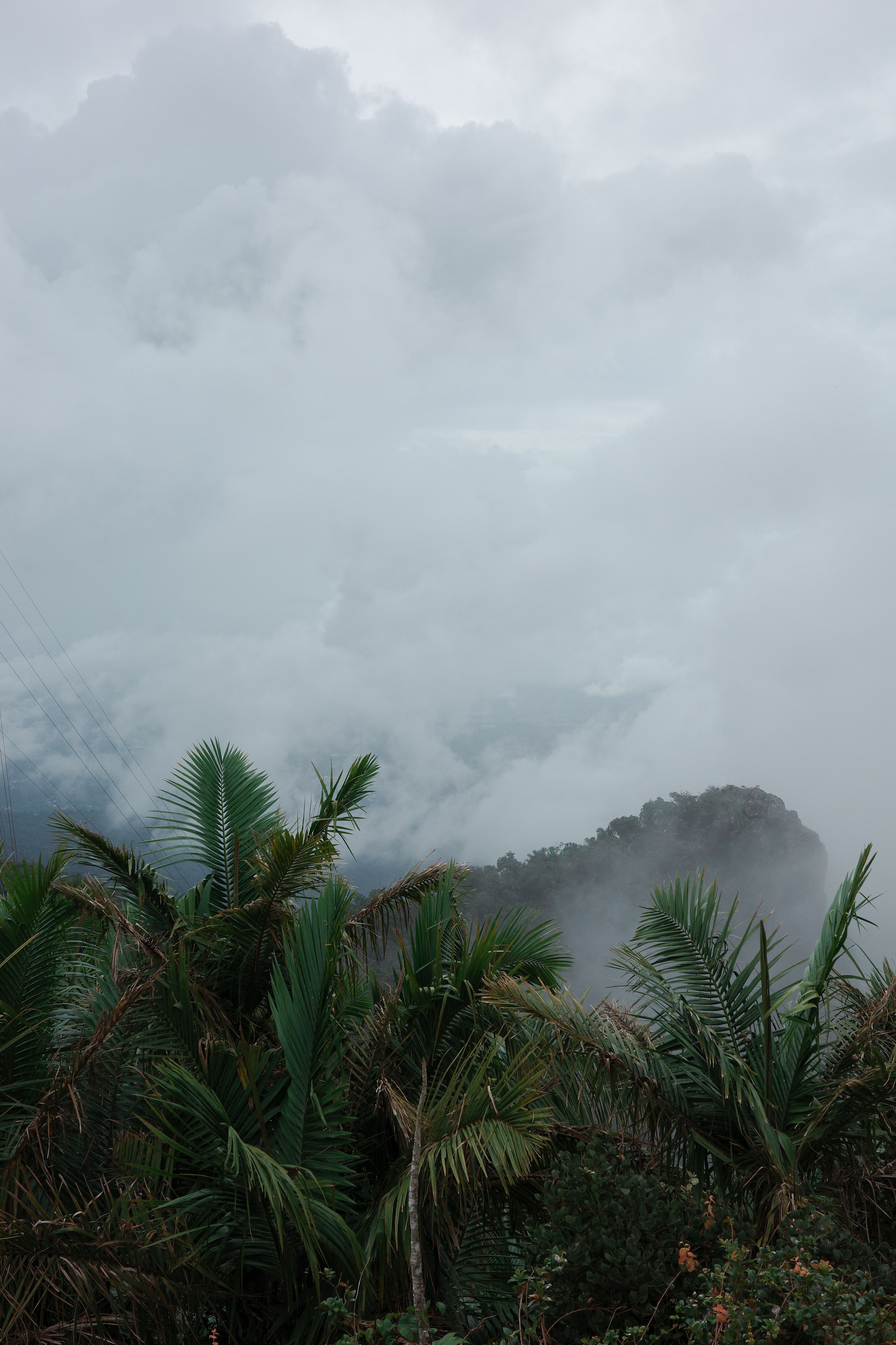 Cloudy Mountains and Lush Greenery in Mist · Free Stock Photo