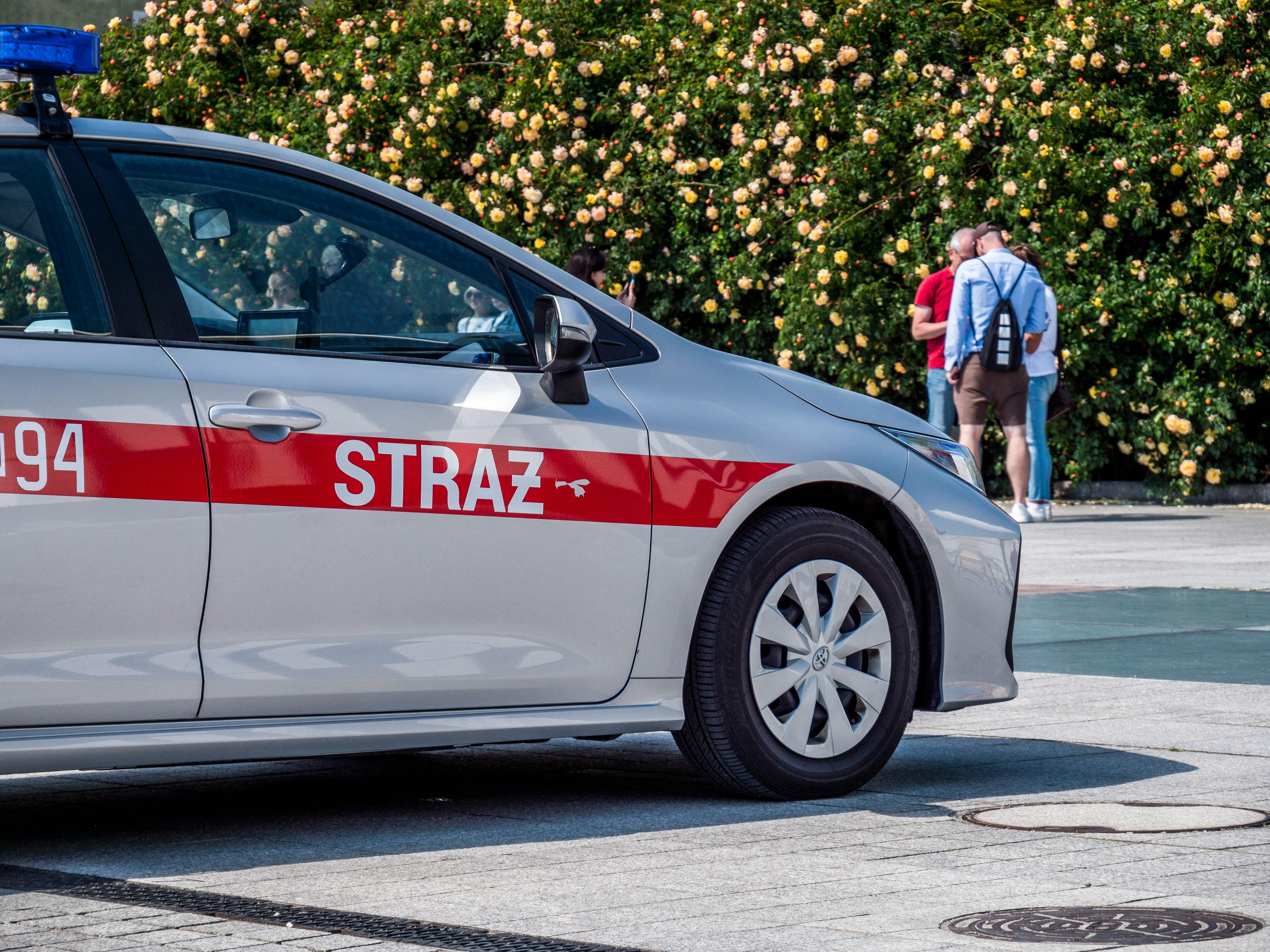 Toyota Recalls Prius Over Rear Doors That Can Open While Driving — Photo by SHOX ART on Pexels