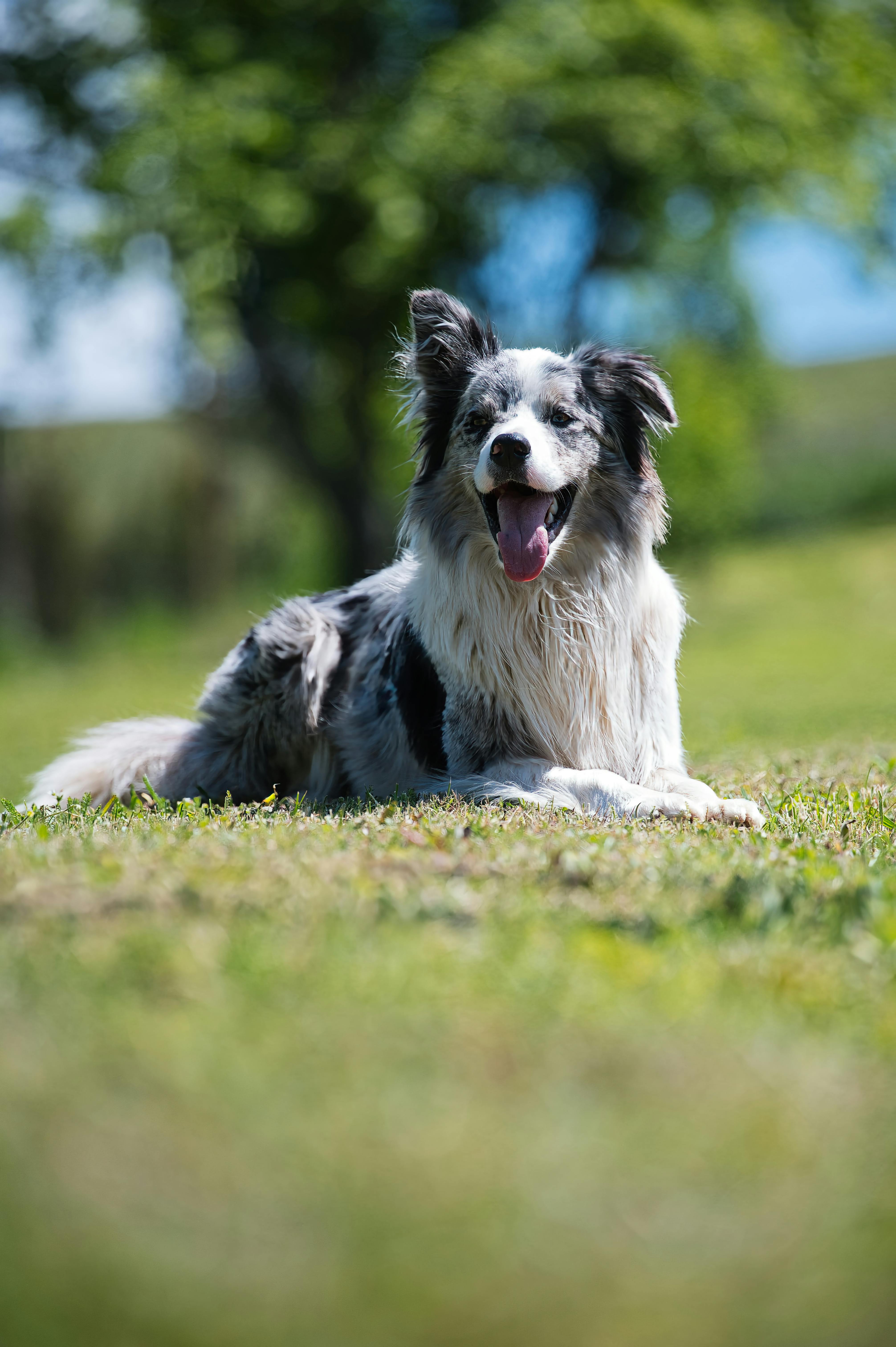 Ellmau Österreich Hotel Christoph: Geheimtipp Für Traumhafte Erholung 5 Hotel Christoph Ellmau: Exklusive Wellness-Angebote für ultimative Entspannung